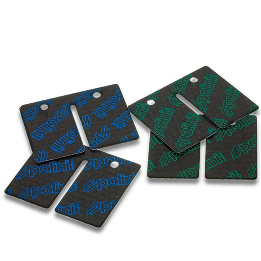 Láminas de carbono Minarelli AM6 Polini