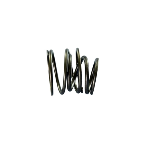 Muelles recambio embrague Vespa small frame Polini 228.0102