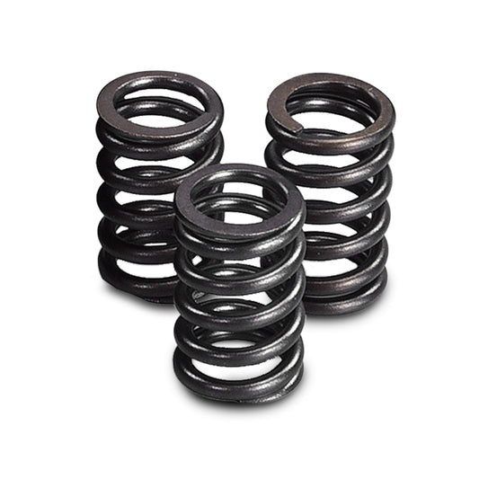 Piaggio 50 3V Euro 5 Valve Spring Polini