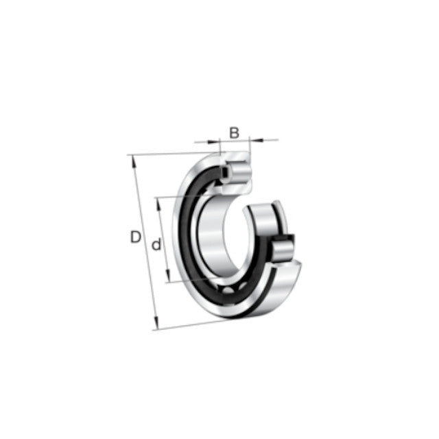 Rodamiento cigüeñal lado volante NJ204 TVP2 Vespa Primavera/PK S FAG 230204030008