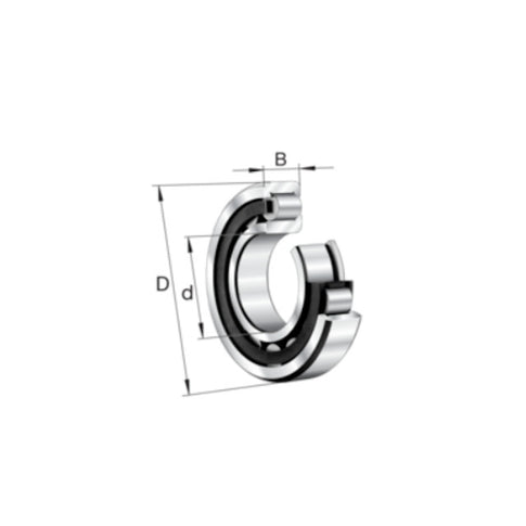 Rodamiento cigüeñal lado volante NJ204 TVP2 Vespa Primavera/PK S FAG 230204030008