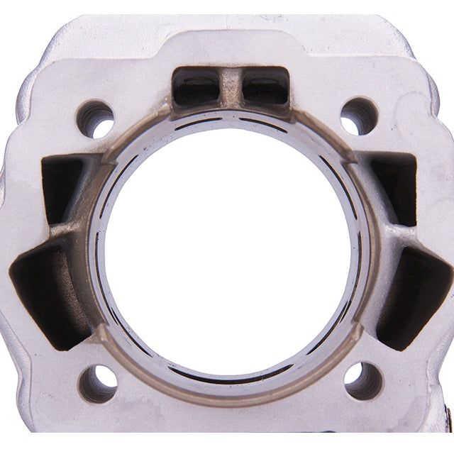 Cilindro Derbi Euro 3 95cc Parmakit Plus-Forged