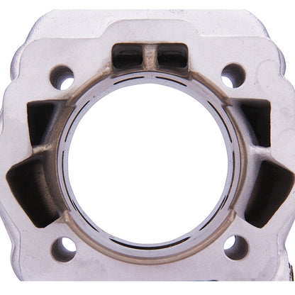 Cilindro Derbi Euro 3 95cc Parmakit Plus-Forged