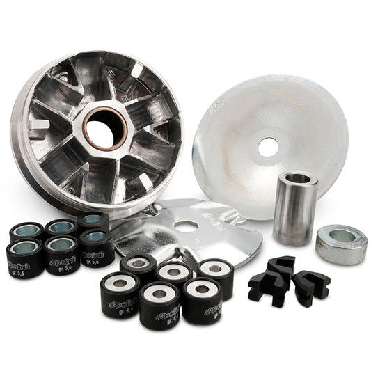 Variator Vespino ALX / Delta Polini