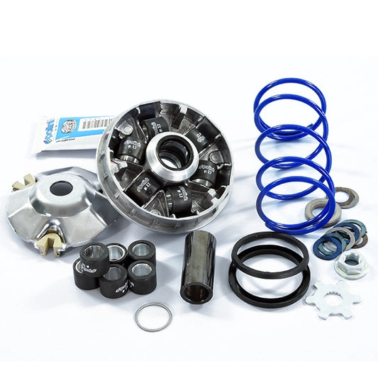 Polini Evolution 2 Variator Minarelli horizontal d=16mm 12.5º