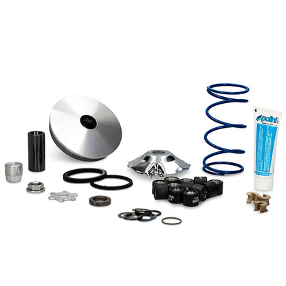 Variador Polini Evolution 2 Minarelli horizontal d=16mm 12,5º