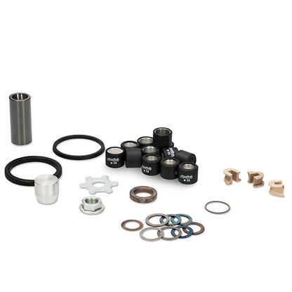 Variador Polini Evolution 2 Minarelli horizontal d=16mm 12,5º