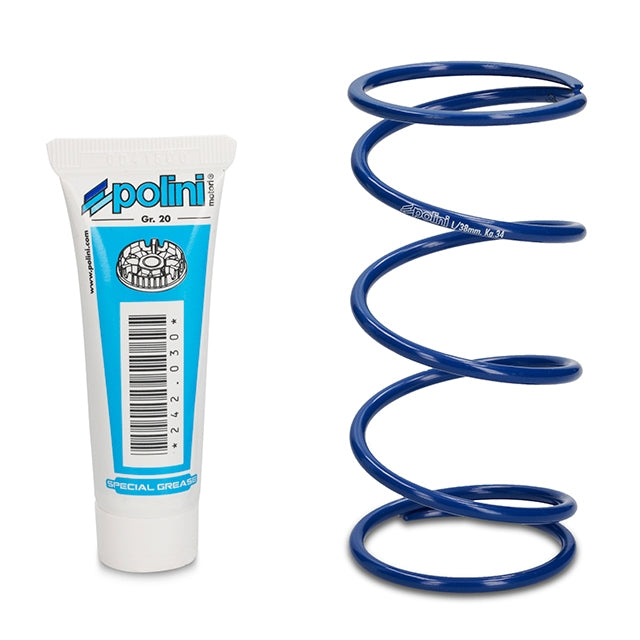 Variador Polini Hi-Speed Evolution 2 Minarelli horizontal d=13mm