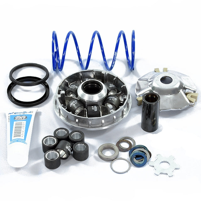 Variador Polini Hi-Speed Evolution 2 Minarelli horizontal d=16mm