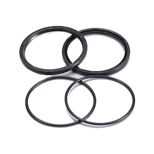 Juntas toricas de poleas Piaggio Polini 242.031