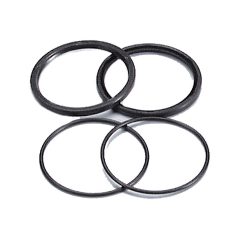 Juntas toricas de poleas Piaggio Polini 242.031