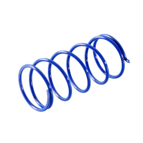 Muelle de embrague Piaggio Primavera IGET 125 euro 5 +14% Polini 243.086