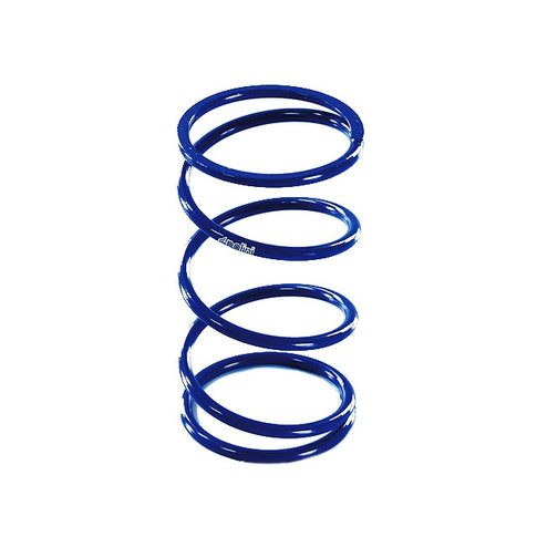 Muelle de embrague Kymco AK 550 euro 4 17-20 Polini 243.110