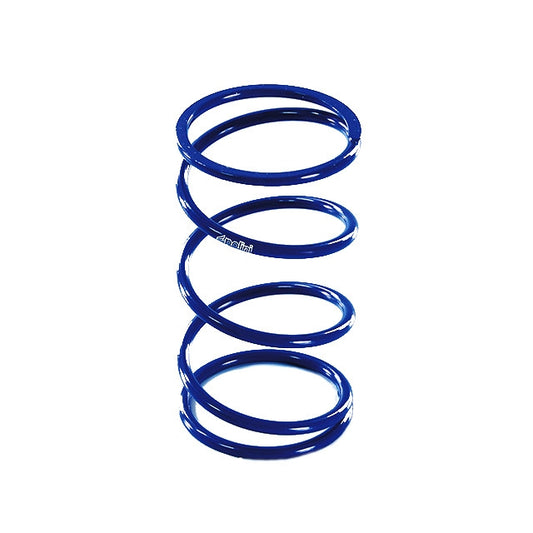 Muelle de embrague Kymco AK 550 euro 4 17-20 Polini 243.110