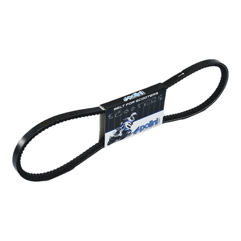 Drive belt Ciao without Variator Speed Polini 
