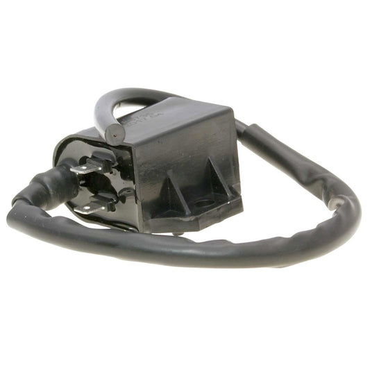 Bobina / CDI Suzuki Address / Morini 50cc 2 Pins Octane