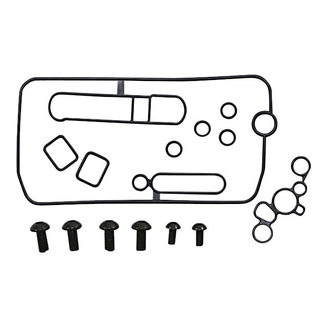 Kit reparación carburador Honda CRF 150 R 07-18 Moose Racing 26-10124