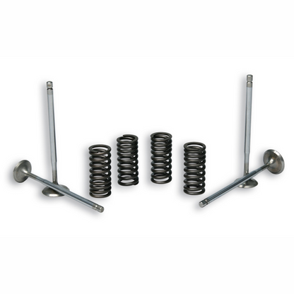 Kit válvulas de culata Piaggio scooter 125/180/200/300cc Malossi