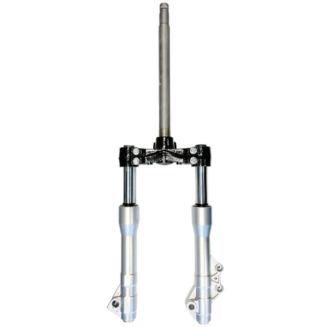 Horquilla completa Piaggio Beverly 125/300/350 TNT 290153A