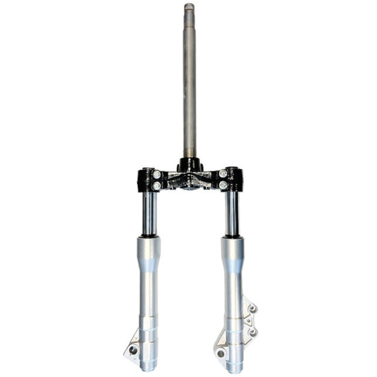 Horquilla completa Piaggio Beverly 125/300/350 TNT 290153A