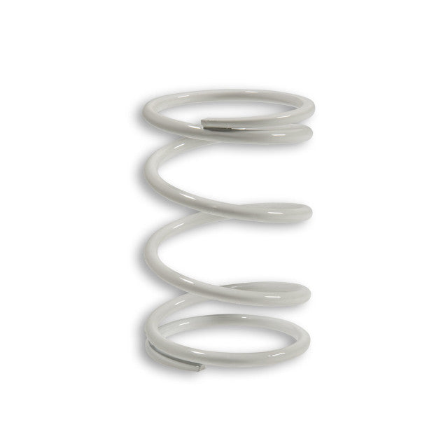 Clutch spring Sym HD 300 E4 2019 Malossi - white