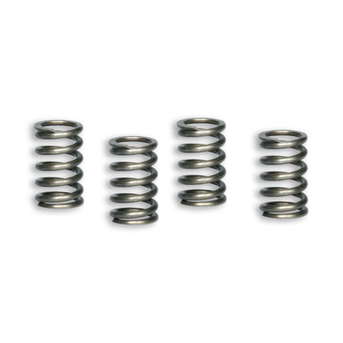 Muelles de embrague Pitbike 100/110/125/140/150 Malossi 2913126