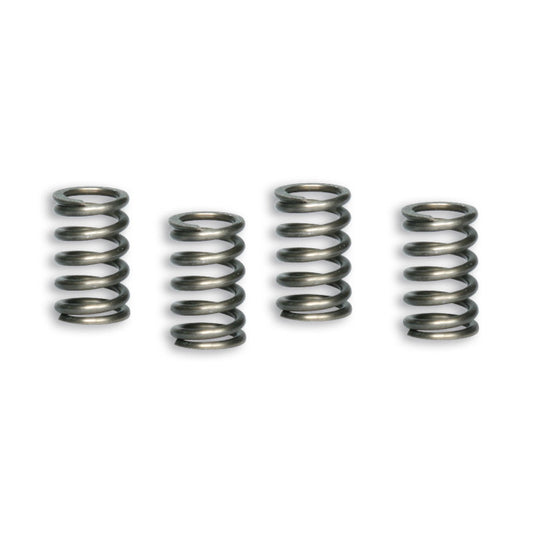 Muelles de embrague Pitbike 100/110/125/140/150 Malossi 2913126