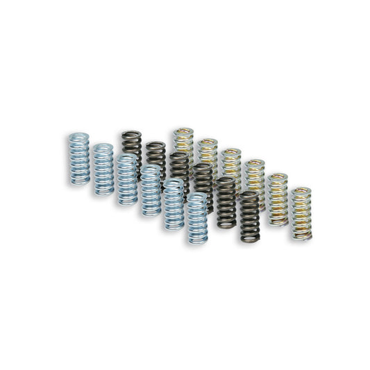 Muelles de embrague Piaggio Beverly / MP3 / X10 350cc Malossi 2915398