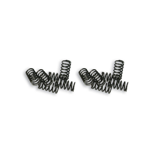 Muelles de embrague Malossi Vespa FL 2916649
