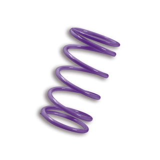 Clutch spring Kymco AK550 ie 4-Stroke euro 4 Malossi