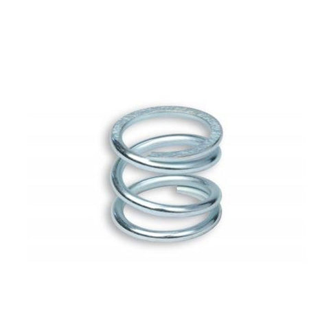 Muelle de embrague Vespa Primavera 125cc 2T Malossi 293750