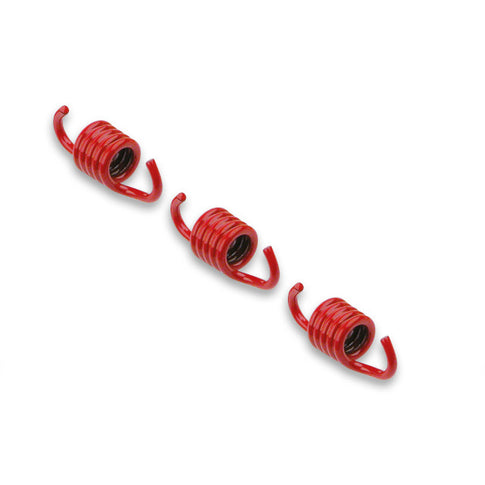 Muelles de embrague original 2.2K d.107mm Minarelli scooter 50 2T Malossi 299604B