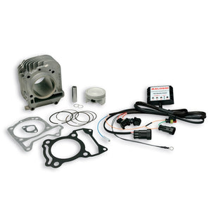 Cilindro Malossi Aluminio 182cc Piaggio Liberty / Vespa LX ie 3V 125/150 3116669