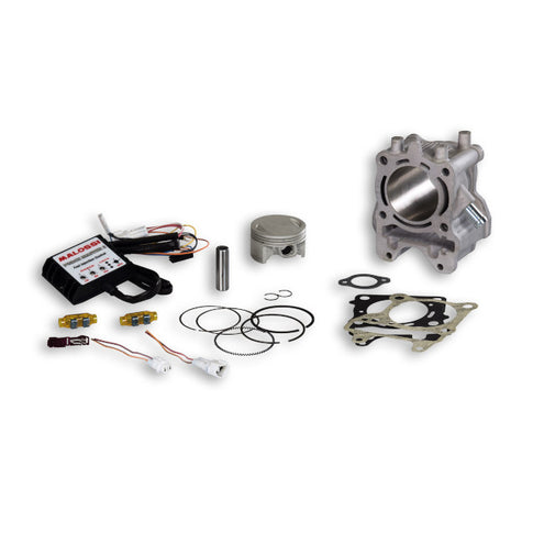 Cilindro Malossi Aluminio I-Tech 169cc Honda SH 150 13-19 3117560