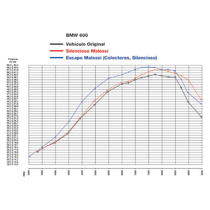 Malossi Maxi Wild Lion Exhaust BMW C GT 650 ie 4-Stroke LC euro 3 <15 (CE)