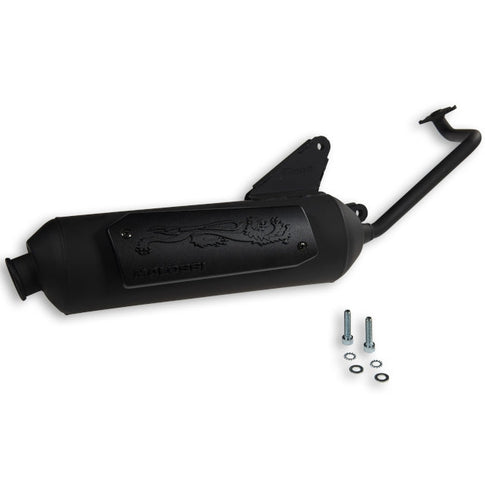 Escape Honda NSC50R 50 / Vision 50 ie 4T Malossi Wild Lion