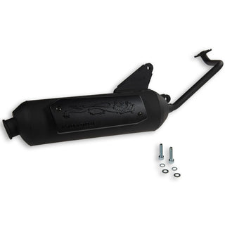 Escape Honda NSC50R 50 / Vision 50 ie 4T Malossi Wild Lion