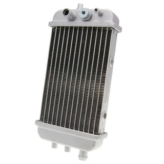 Radiator Derbi Senda 50 / Aprilia RX 50 / SX 50 Gilera RCR 50 Octane