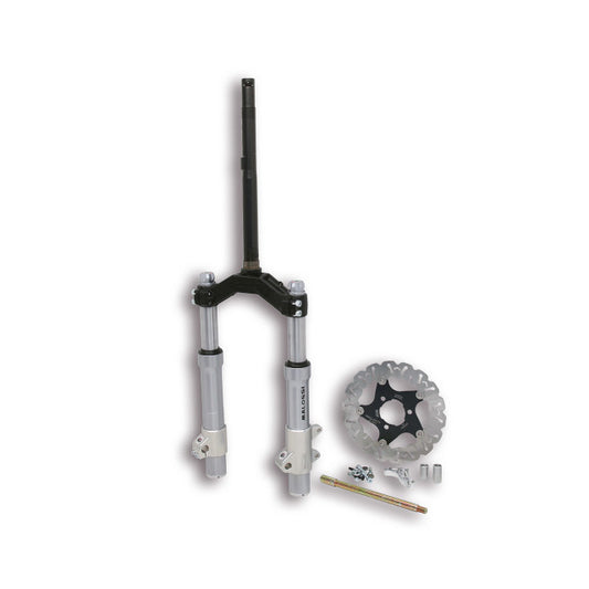 Kit horquilla Piaggio Typhoon F37R Malossi 4616779