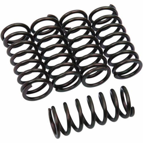 Muelles de embrague Honda CBR 600 RR 1000 F Barnett 501-73-05067