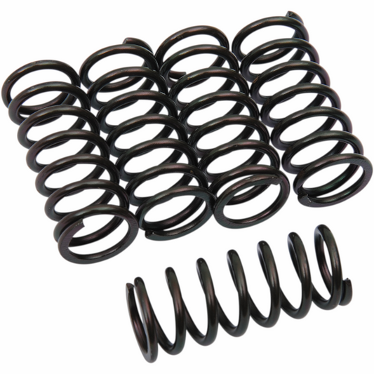 Muelles de embrague Honda CBR 600 RR 1000 F Barnett 501-73-05067