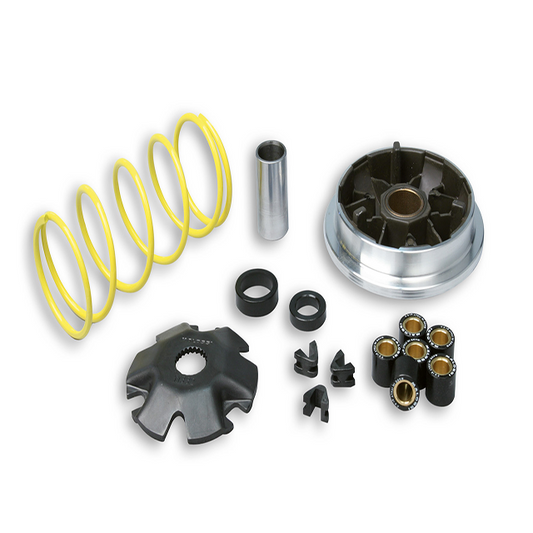 Malossi Multivar Variator Suzuki Katana >99 / Aprilia Habana