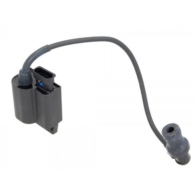 CDI / Bobina Piaggio Fly 100 2007 639832