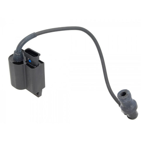 CDI / Bobina Piaggio Fly 100 2007 639832