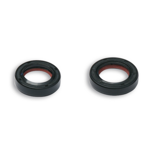 Juego retenes cigüeñal FKM / PTFE Piaggio 50cc 2T Malossi 6618157