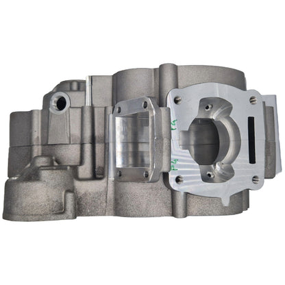 Metrakit Pro Race Crankcase Derbi euro 3-4