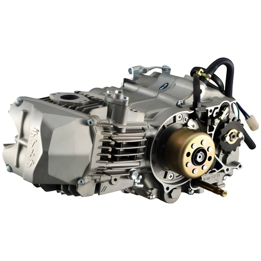 Daytona Anima 190SYS Pitbike Engine
