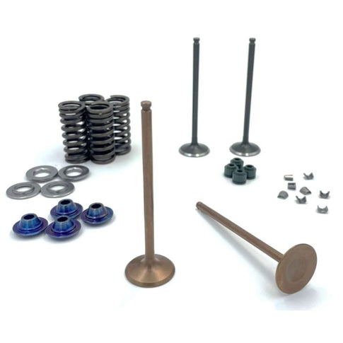 Titanium timing kit for Daytona Anima 4 valves