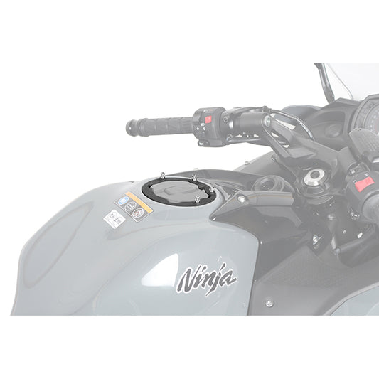 Pin System Kawasaki Anillo Shad X025PS