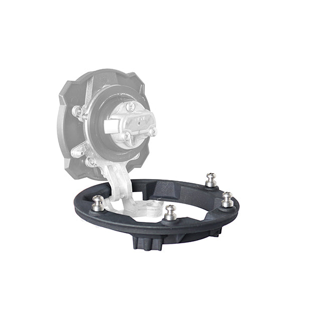 Pin System Kawasaki Anillo Shad